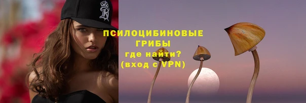 PSILOCYBIN Алзамай